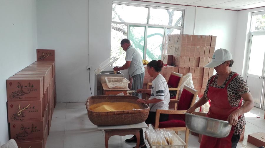 3、发展集体经济,包装销售金斗山小米.jpg 3、发展集体经济,包装销售金斗山小米.jpg