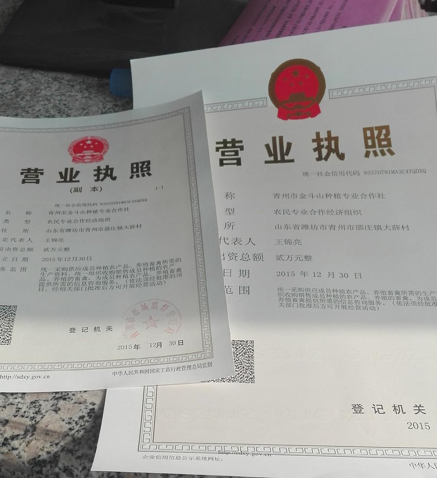 4-2成立金斗山种植专业合作社.jpg 4-2成立金斗山种植专业合作社.jpg