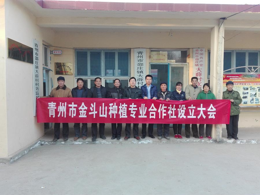 4、为大薛村成立金斗山种植专业合作社,发展村集体经济.jpg 4、为大薛村成立金斗山种植专业合作社,发展村集体经济.jpg